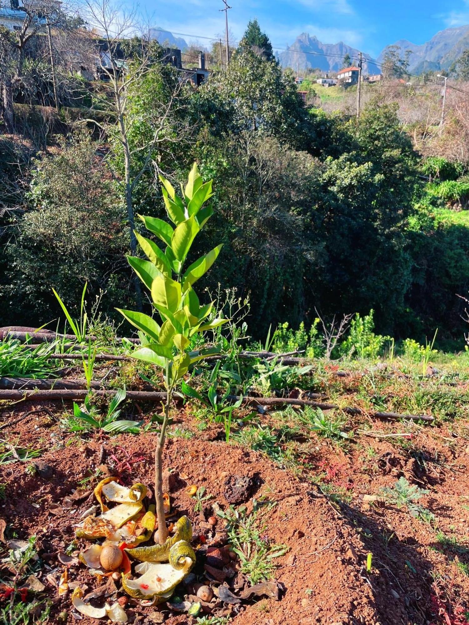 Gospodarstwo agroturystyczne Quinta Vista O Pico