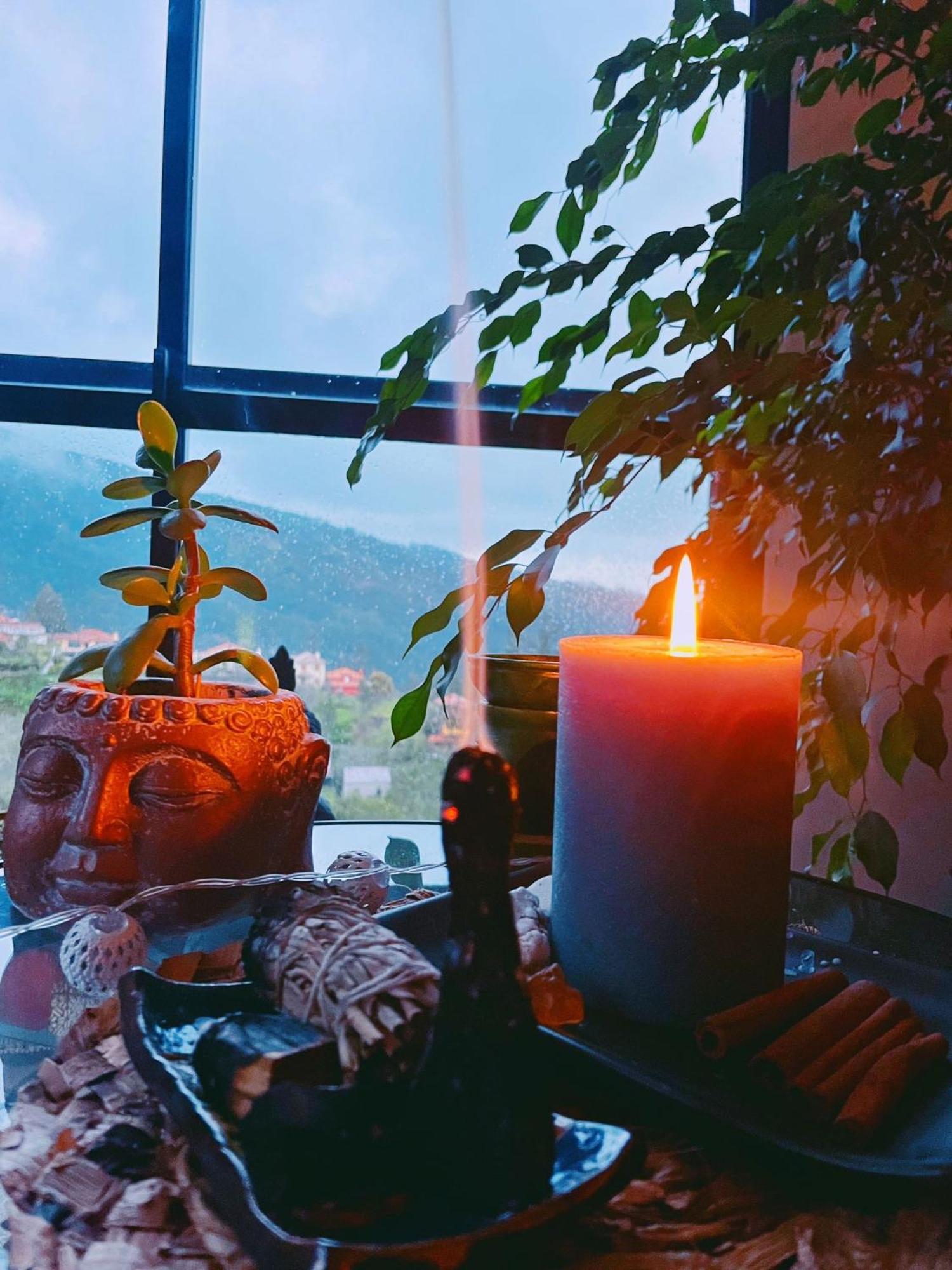 Gospodarstwo agroturystyczne Quinta Vista O Pico Ribeiro Frio