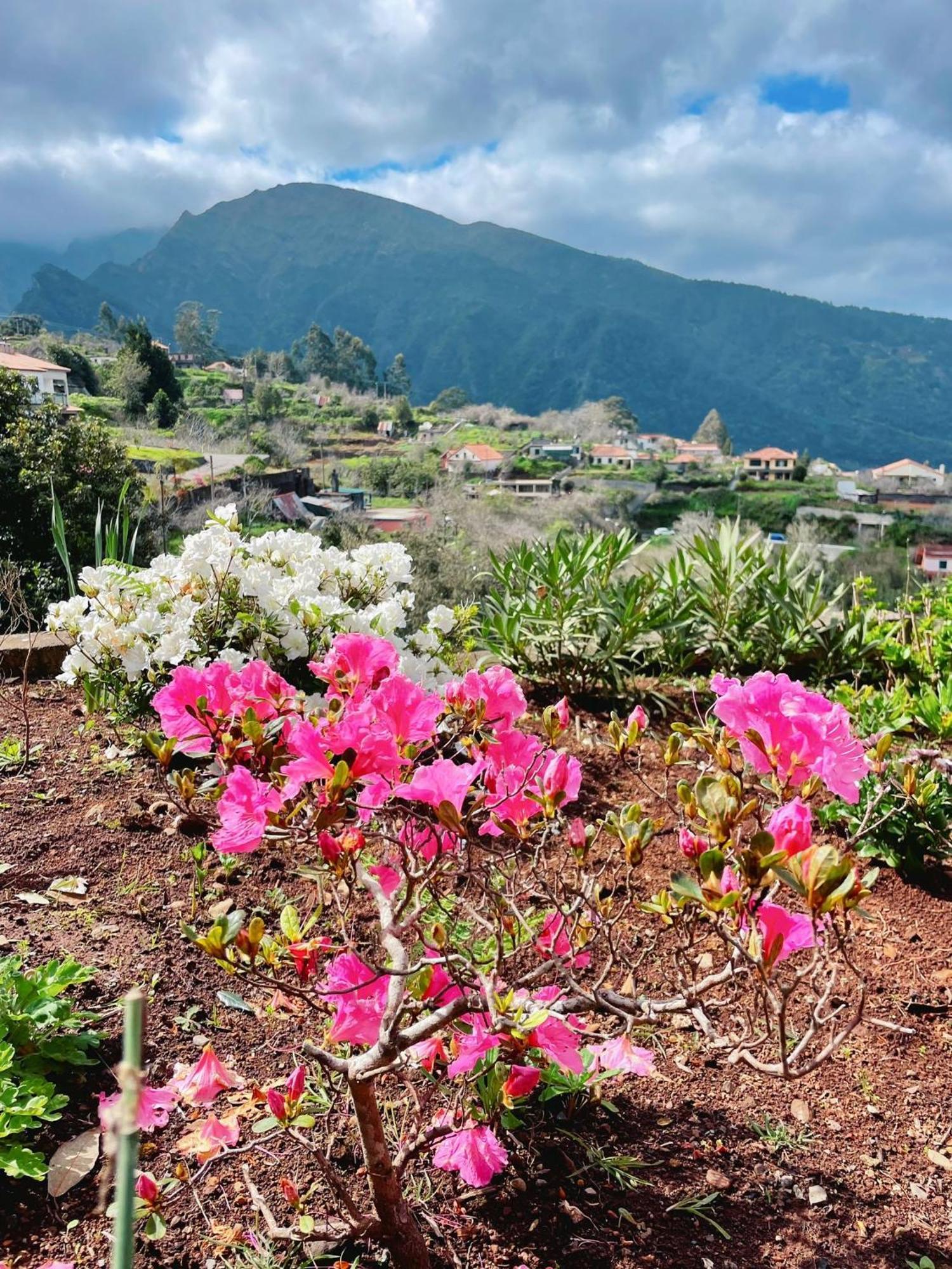 Quinta Vista O Pico * Ribeiro Frio